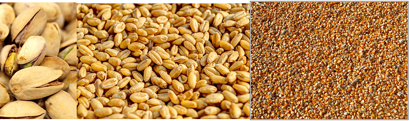 Grain Dust Main Image