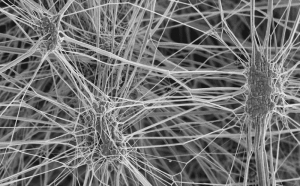 The microporous ePTFE structure shown here allows gases and vapors to pass while blocking liquids and particles.