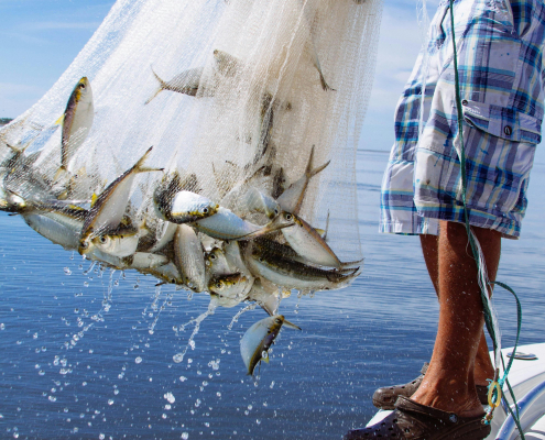 fisherman casting a net and catching small and big fish. In dust collection, when a dust cake is formed in the filter, the smaller particles cant go through