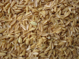 Rice hulls processing